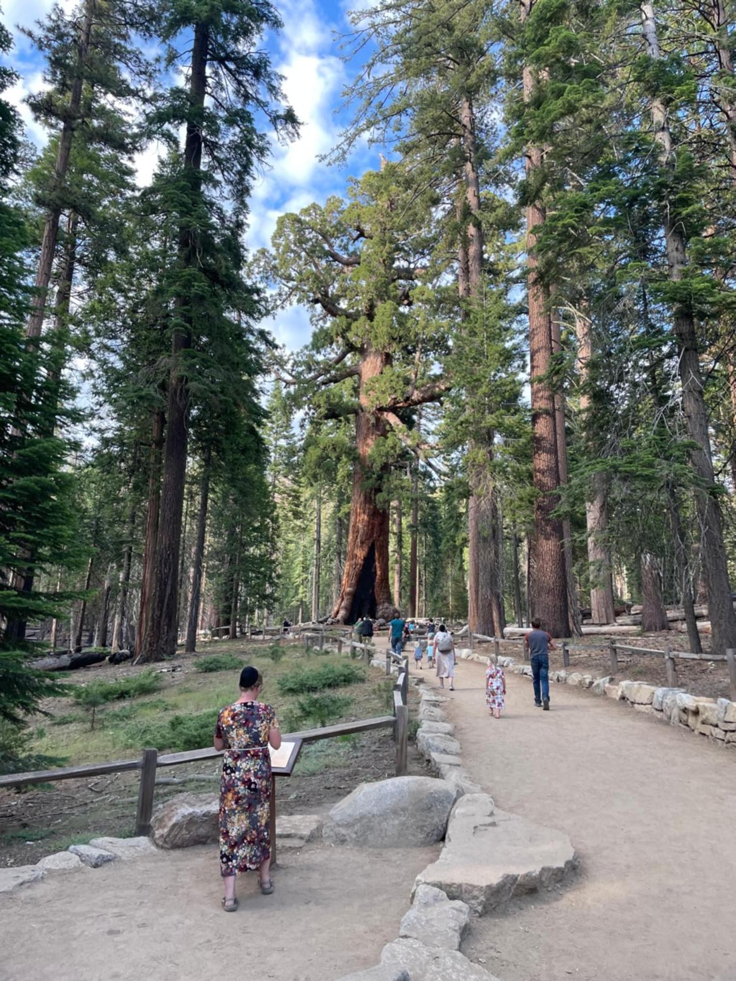 Stewart Chalet @ Yosemite/Bass Lake Bagian luar foto