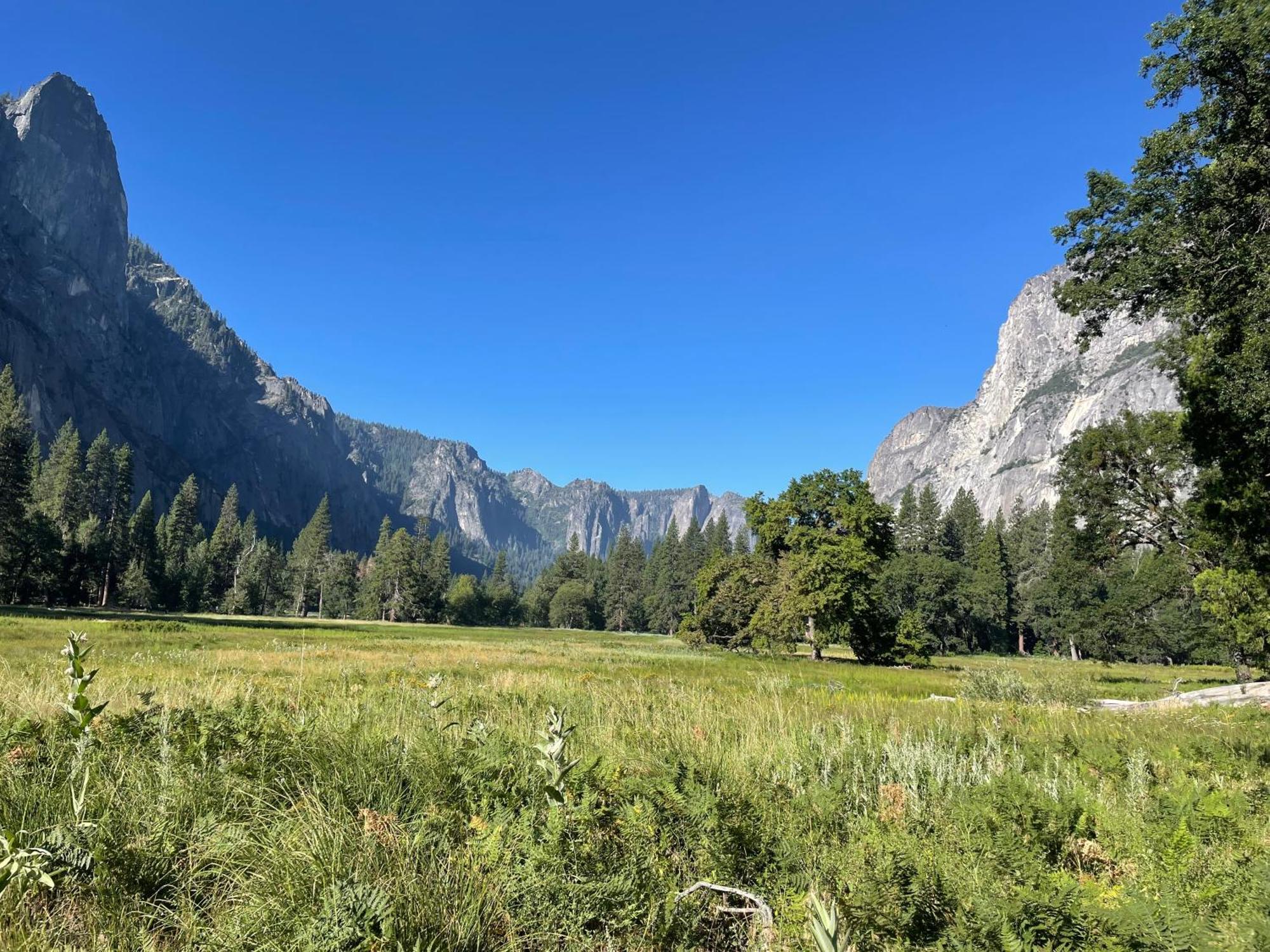 Stewart Chalet @ Yosemite/Bass Lake Bagian luar foto